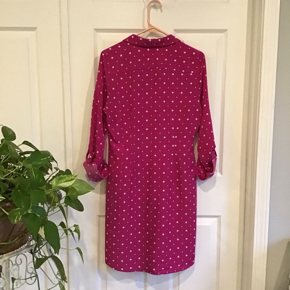The Limited, Pink polka dot dress, size 8 - Picture 6 of 11